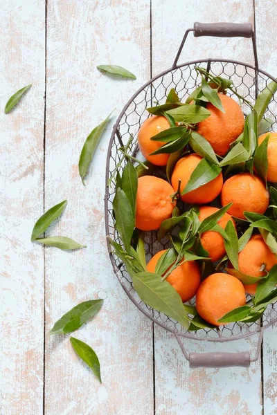 Tangerines (oranges, mandarins, clementines, citrus fruits) with leaves in basket on Gray background. Mandarin oranges with leaves in white basket on rustic wood background. Citrus