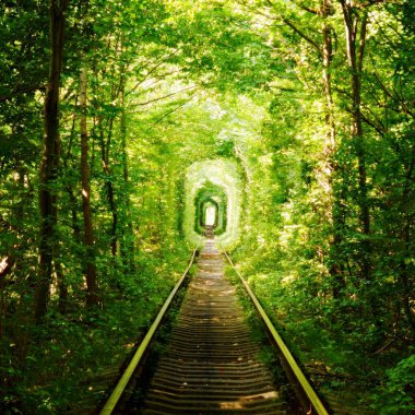 Güzel renkli ağaç orman, doğal arka sokakta. Sihirli aşk tüneli, yeşil ağaçlar ve Ukrayna'da demiryolu. Ağaçlar bir demiryolu tren boyunca oluşturduğu doğal bir tünel.