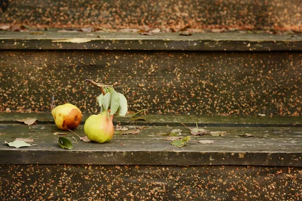 Autumn Fruits Vintage Old Wooden Staircase Autumn Mood Warm Clothes — Stock Photo, Image