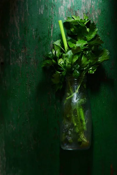 Ervas Orgânicas Frescas Para Presunçoso Fundo Verde Escuro Monte Coentro — Fotografia de Stock
