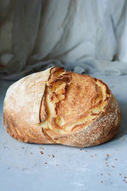 Keten tohumu bütün buğday ve çavdar unu, kabak ve yulaf gevreği kahverengi bir arka plan üzerinde taze ev yapımı ekmek. Net. Fransız ekmeği. Ekmek, Maya. Mayasız ekmek. Öğle yemeği zamanı