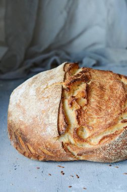 Keten tohumu bütün buğday ve çavdar unu, kabak ve yulaf gevreği kahverengi bir arka plan üzerinde taze ev yapımı ekmek. Net. Fransız ekmeği. Ekmek, Maya. Mayasız ekmek. Öğle yemeği zamanı