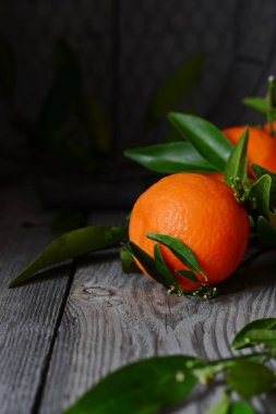 Mandalina (portakal, mandalina, clementines, narenciye) gri arka plan üzerinde sepet içinde yapraklarla. Rustik ahşap arka plan üzerinde beyaz sepet içinde yapraklarla Mandarin Portakal. Narenciye