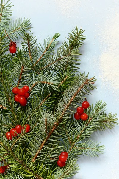 Ramo Decorativo Ramas Árbol Navidad Recogidas Una Manopla Con Arándanos —  Fotos de Stock