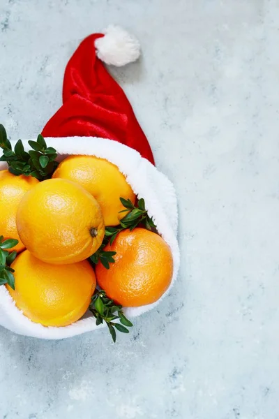 Ripe oranges in the hat of Santa Claus with boxwood plant on a blue background. Festive mood, Christmas and New Year