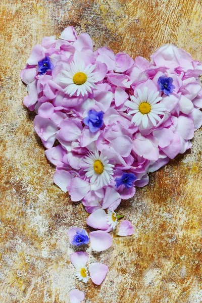 Pembe kalp kavramı Sevgililer günü için gül yaprakları,