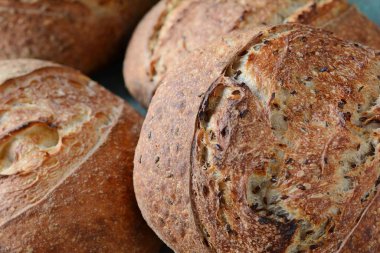 Gri-mavi arka plan, taze ev yapımı ekmek kepekli un üzerinde keten tohumu ile. Fransız ekmeği yuvarlak şekli. Ekmek pişirme. Mayasız ekmek