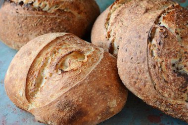 Gri-mavi arka plan, taze ev yapımı ekmek kepekli un üzerinde keten tohumu ile. Fransız ekmeği yuvarlak şekli. Ekmek pişirme. Mayasız ekmek