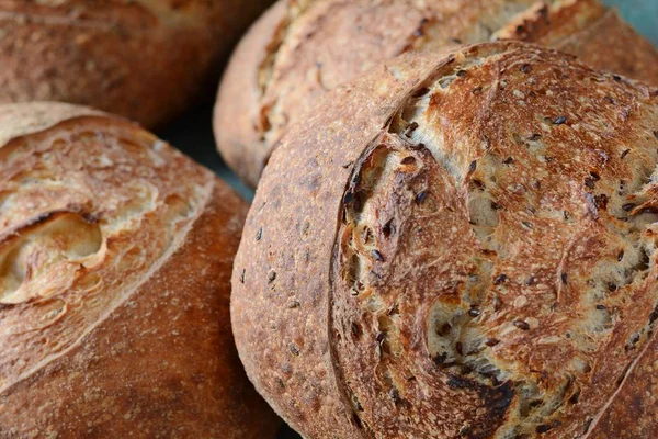 Gri-mavi arka plan, taze ev yapımı ekmek kepekli un üzerinde keten tohumu ile. Fransız ekmeği yuvarlak şekli. Ekmek pişirme. Mayasız ekmek