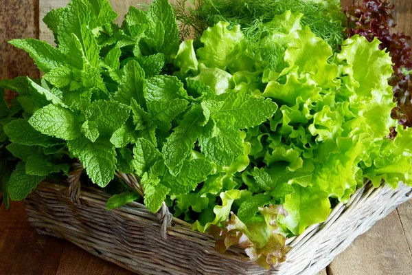 Mint Bunch Fresh Green Organic Mint Leaf Wooden Table Closeup — Stock Photo, Image