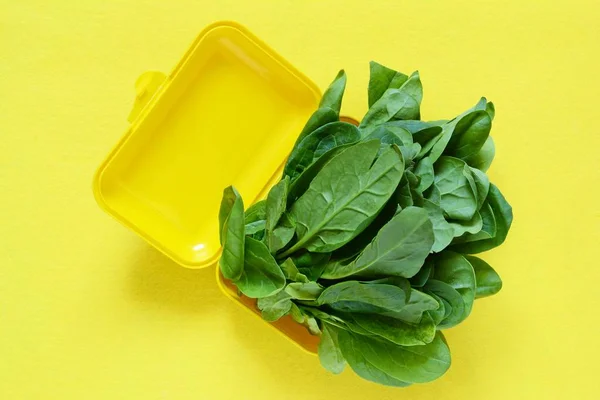 Ein Bund Frischer Spinat Einer Gelben Lunchbox Auf Gelbem Hintergrund — Stockfoto