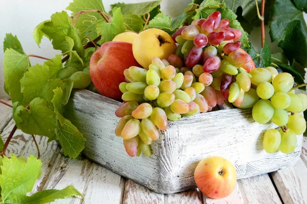 Βιολογικά Φρούτα Ξύλινο Κιβώτιο Σακούλες Από Ώριμα Σταφύλια Και Μήλα — Φωτογραφία Αρχείου