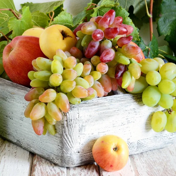 Organic fruits in a wooden crate. Bunches of ripe grapes and apples. Summer fruit harvest