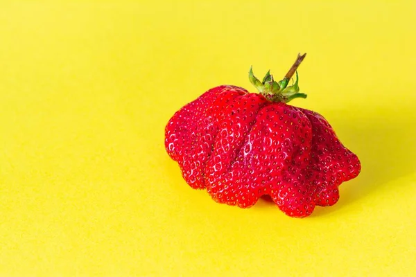 Fresas Grandes Maduras Sobre Fondo Amarillo Frutas Bayas —  Fotos de Stock