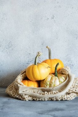 Gri arka planda küçük dekoratif balkabakları. Cadılar Bayramı ve Şükran Günü için masa dekorasyonu.