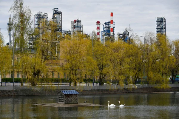 Moscú Rusia Mayo 2020 Estanque Con Dos Cisnes Árboles Tuberías — Foto de Stock