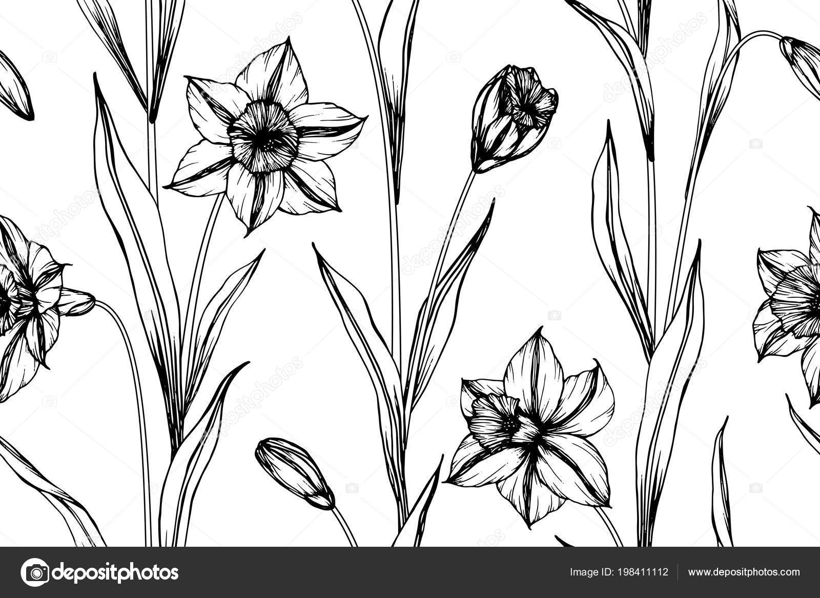 Seamless Daffodil Flower Pattern Background Black White Drawing Line Art Stock Vector C Suwi19 198411112