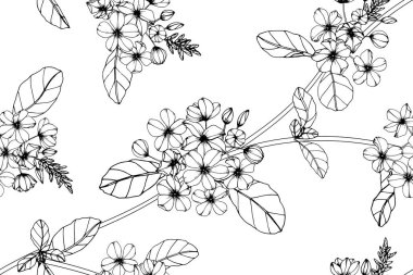 Sorunsuz Cap leadwort çiçek desen arka plan. Line art resim çizim ile siyah ve beyaz.