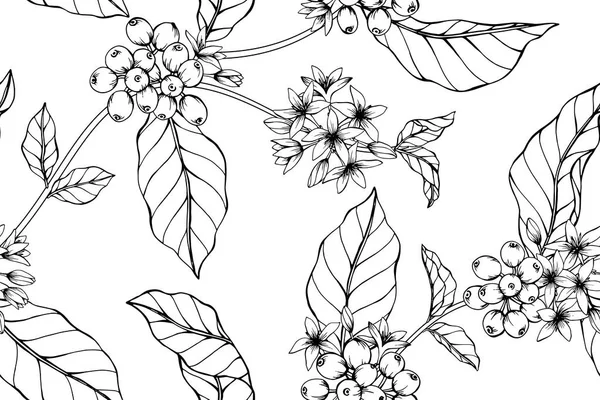 Nahtlose Kaffee Blume Muster Hintergrund Schwarz Weiß Mit Zeichenstrichgrafik — Stockvektor