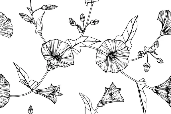 Seamless Morning glory flower pattern background. Black and white with drawing line art illustration.