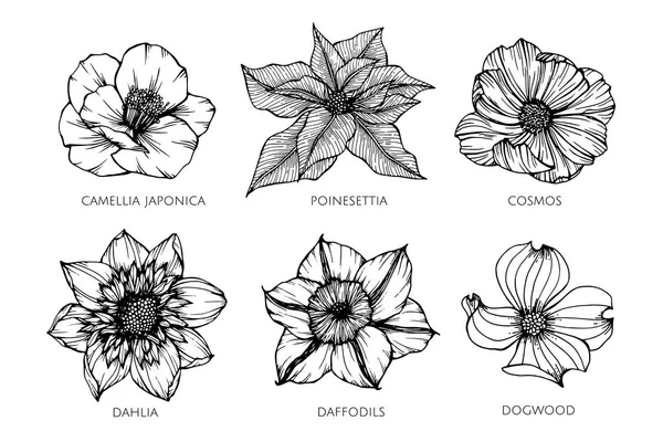 Colección conjunto de ilustración de dibujo de flores . — Archivo Imágenes Vectoriales