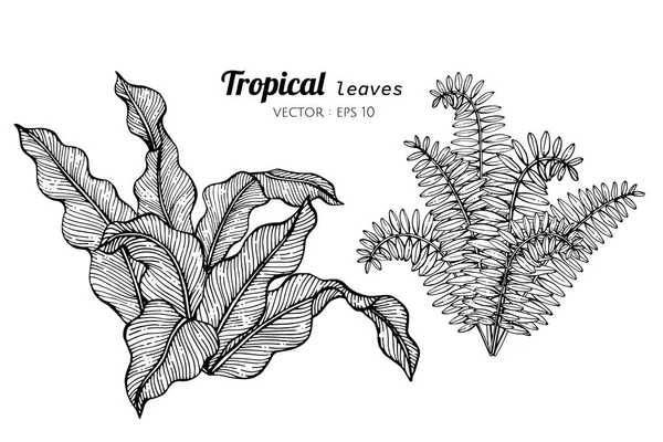 Collectie set van tropische verlaat tekening illustratie. — Stockvector