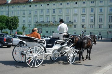 Viyana, Avusturya - 13 Temmuz 2018: Avusturya 'nın başkenti Viyana' da bulunan Hofburg Sarayı 'nda Fiaker adlı at arabasıyla turistleri yaklaştırın