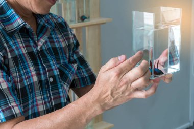 Asyalı erkek, cam kavanoz siyam dövüşü ya da betta balığı gösteriyor. Elinde cam kavanoz dolusu betta ihtişamı olan bir adam var. Satmak ya da teklif vermek için..