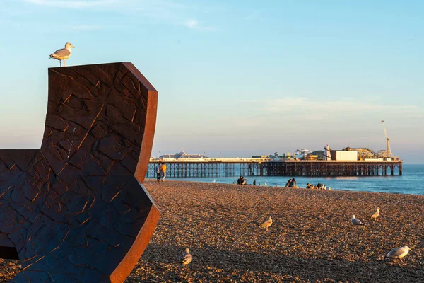 Beach View Brighton Pier Nature Public Place Волнорезов Людей Птиц — стоковое фото