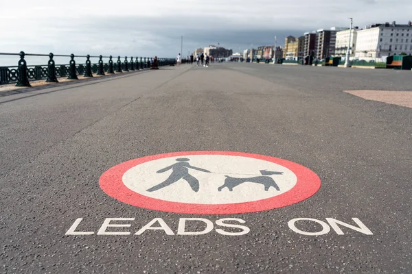 Dogs allowed on lead sign in public area. Painted pavement keep leads on dogs sign on the floor dogs must be kept on lead in park.