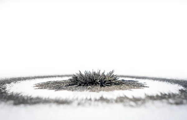 黑色铁粉磁场下白色背景下的强圆形径向磁体 学校科学课上的科学实验 — 图库照片
