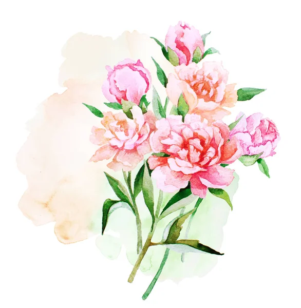 Watercolor Artistic Handpainted Pink Peony Flowers Buds Bouquet Splash Isolated — Stock Photo, Image