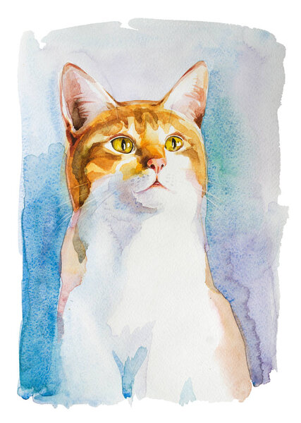 Watercolor handpainted ginger white young pride cat portrait isolated on white
