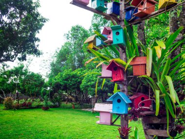 Renkli kuş evi Bahçe