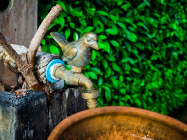 bir evde kuş alçı dekorasyon.