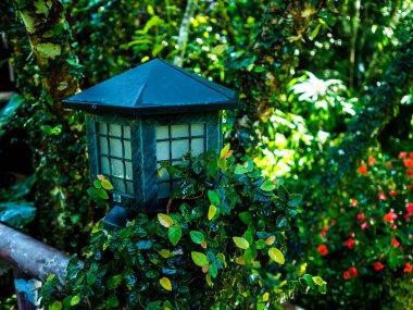 bahçede ev Bahçe Işık dekorasyon