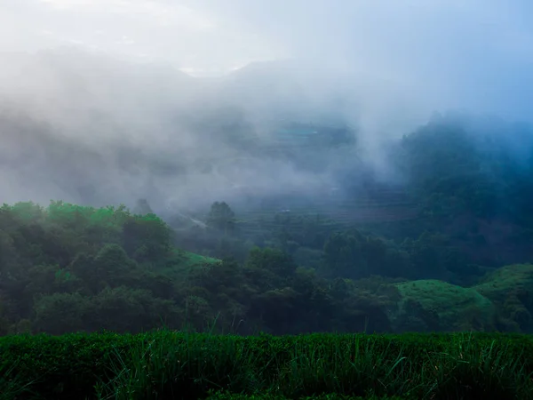 Hmong Rai Cha 2000 Doi Ang Kang Chiang Mai Tayland — Stok fotoğraf