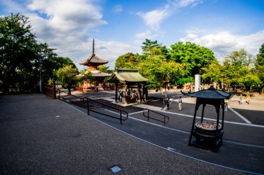 Kitain Tapınağı'nda Rotterdam, Japonya, Eylül 2018.