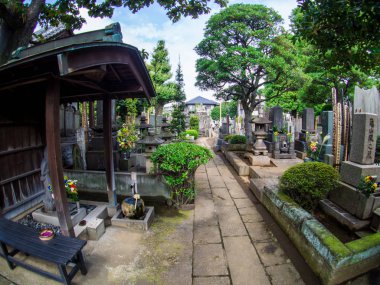 Yanaka mezarlığı: Japon Mezarlığı, Tokyo, Japonya Eylül 2018.