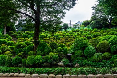 Nezu tapınak veya Nezu Jinja bir geleneksel ve tarihsel Shinto tapınağı, Tokyo, Japonya Eylül 2018 olduğunu.