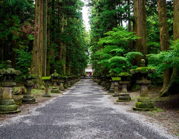 Fujiyoshida Sengen Shrine Lång Strategi Kantad Sten Lyktor Och Höga — Stockfoto