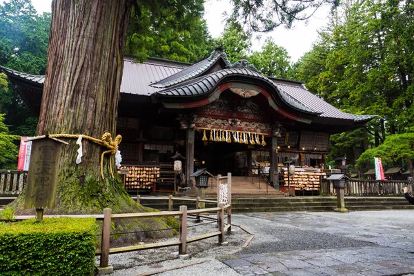 Φουτζιγιόσιντα Από Κρεβάτι Παρεκκλήσι Στην Φουτζιγιόσιντα Πόλη Ένα Ιερό Δέντρο — Φωτογραφία Αρχείου