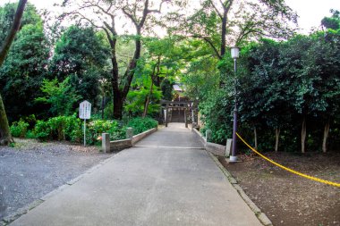 Kitain Tapınağı'nda Rotterdam, Japonya, Eylül 2018.