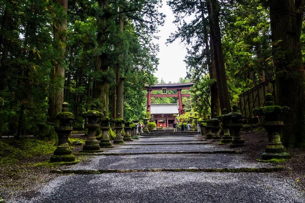 Fujiyoshida Sengen Shrine Lång Strategi Kantad Sten Lyktor Och Höga — Stockfoto