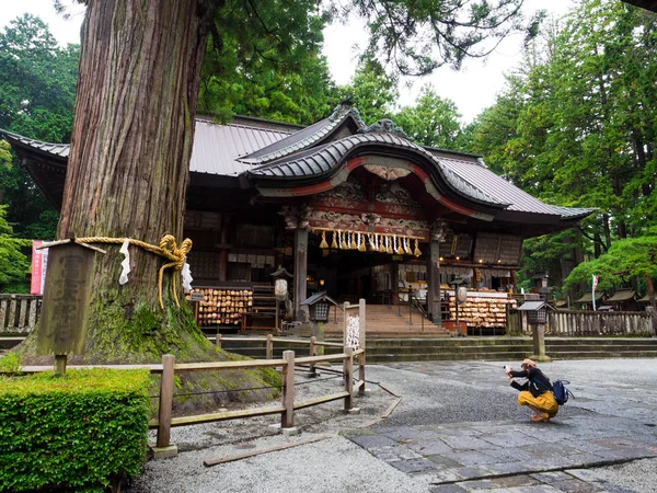 神聖な木の前に 2018年 月と富士吉田市富士吉田浅間神社 — ストック写真
