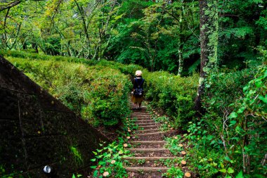 Japonya'da Eylül 2018 Chureito Pagoda Fujiyoshida Yamanashi, yolda.