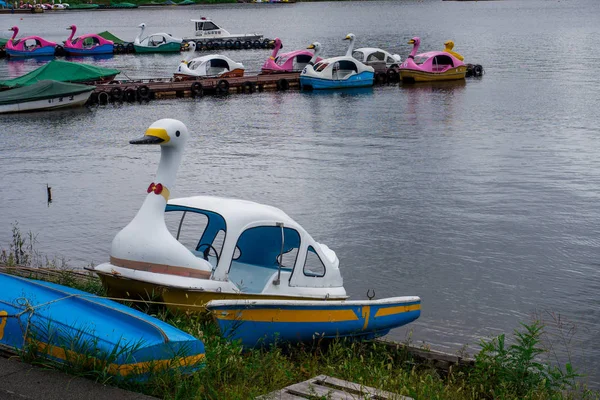 Kawaguchi Gölü, Japonya. Eylül 2018.