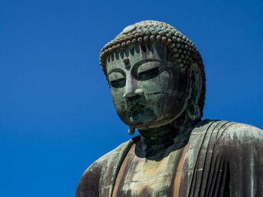 Kotoku-in Tapınağı: büyük Buda, Kamakura, Kanto bölgesi, Japonya. Tapınağın büyük Buda veya Daibutsu için ünlüdür.