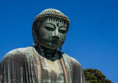 Kotoku-in Tapınağı: büyük Buda, Kamakura, Kanto bölgesi, Japonya. Tapınağın büyük Buda veya Daibutsu için ünlüdür.