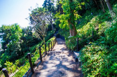 Hase-dera Tapınağı. popüler Budist tapınağı 2018 Kamakura, Japonya - Eylül,.
